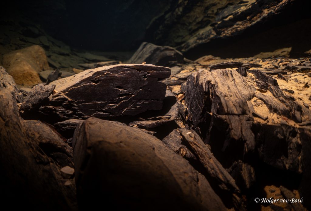 French underwater worlds, Source Du Planey, Jura, France