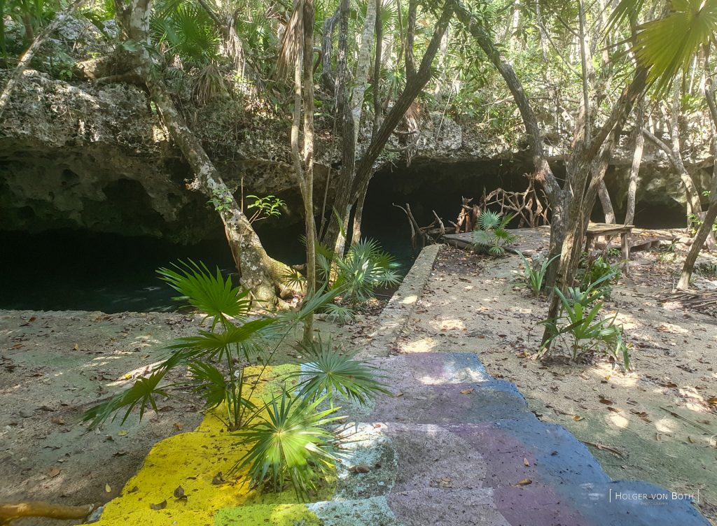 Cenote El Toh environment and cave entry