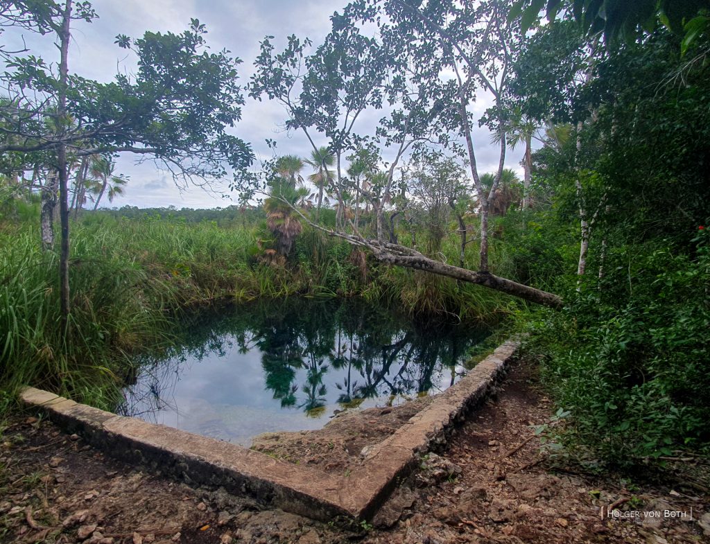 Cenote Tortuga entry