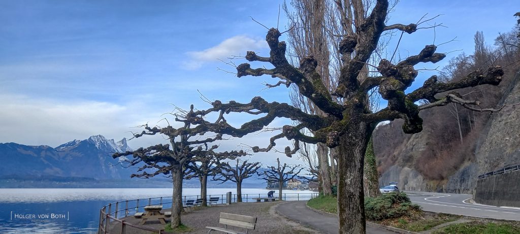 Lake Thun dive spot