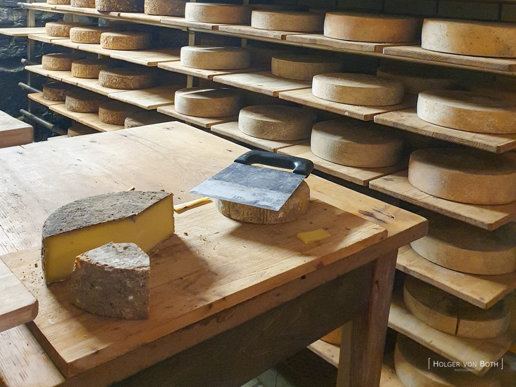artisanal cheese factory